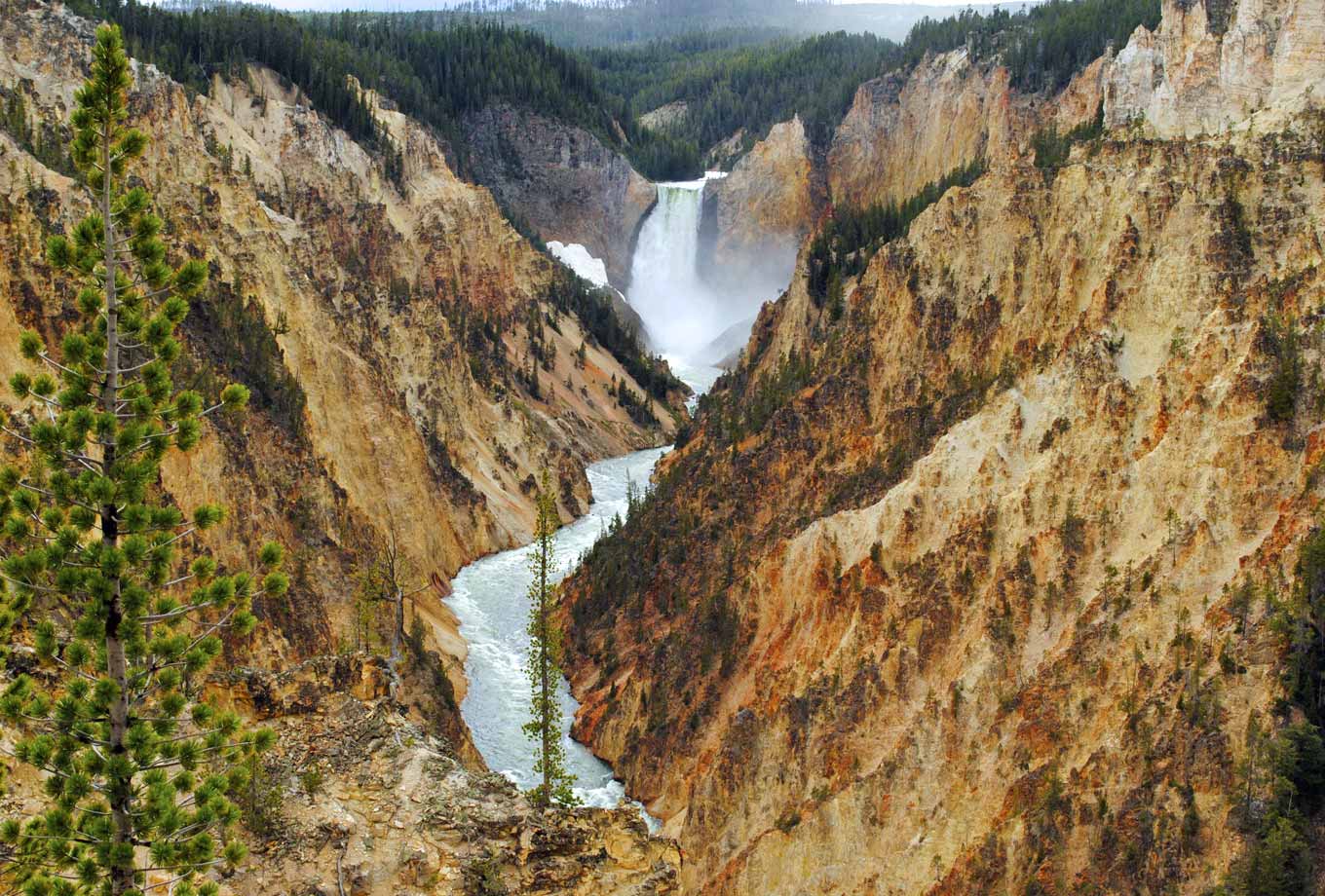 Grand Canyon of the Yellowstone in Yellowstone National Park